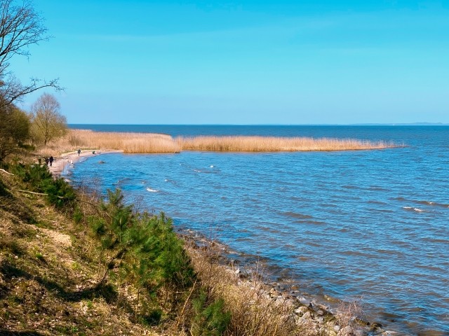 Strand in der Nähe
