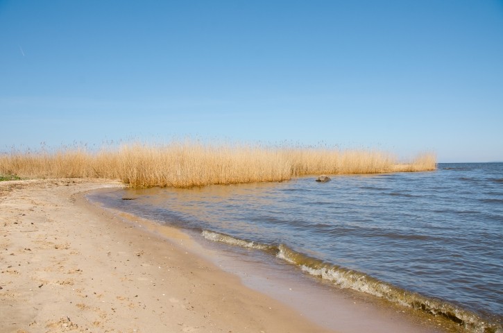 Strand zum Baden mit dem Hund