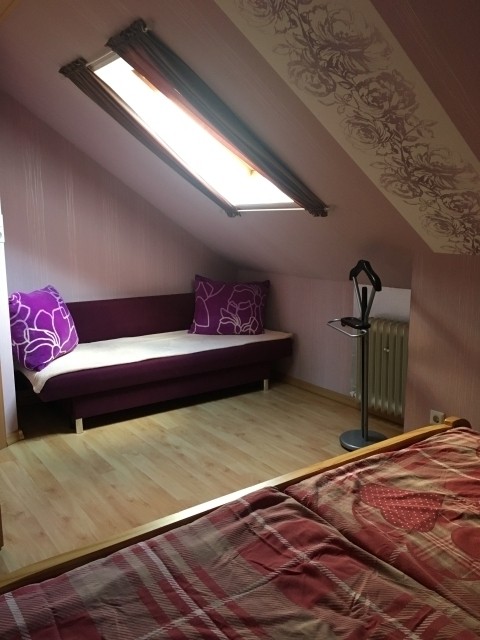 Neues Dachfenster mit Fliegengitter