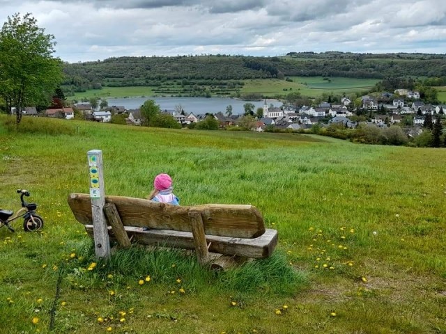 Blick auf Schalkenmehren und das Maar 