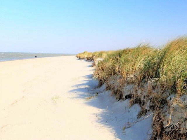Dünen