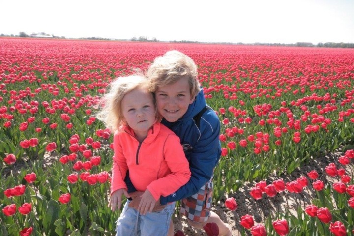 Tulpenfestival Ende April Anfang Mai