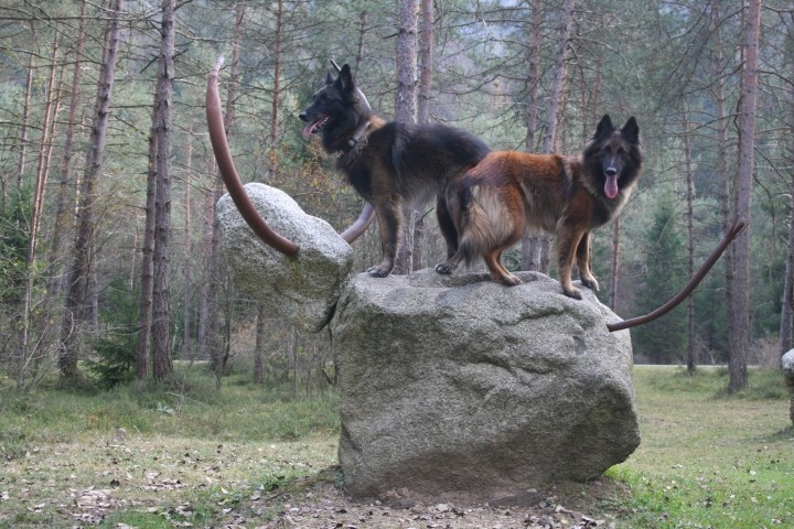 Ledro Land Art