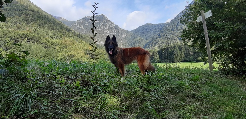 Umgebung