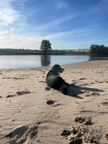und viel Platz