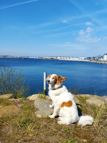 Genieße den Ausblick