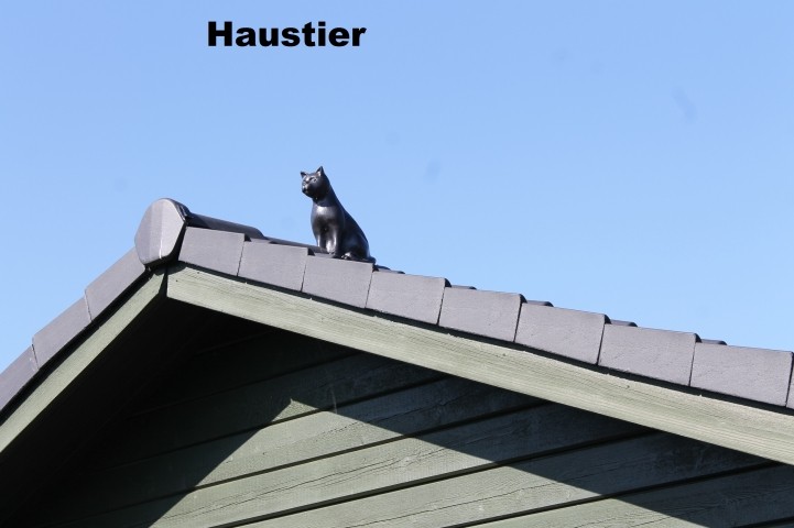 Haustier