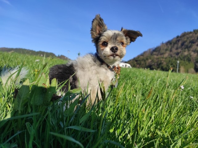 Wanderungen für Klein und 