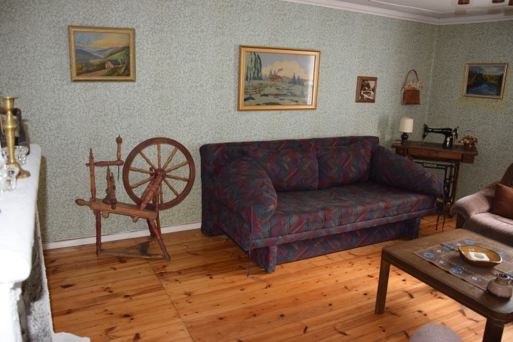 großes Wohn- Schlafzimmer mit Doppelbett (auf dem Foto als Sofa gekippt)