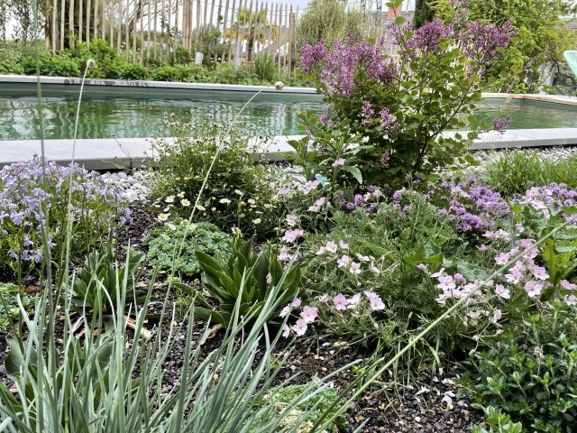 Naturpool im Garten 