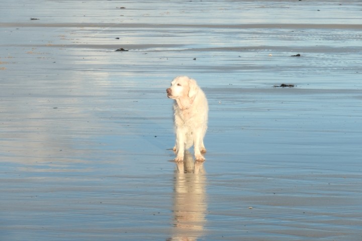 Denneville Plage