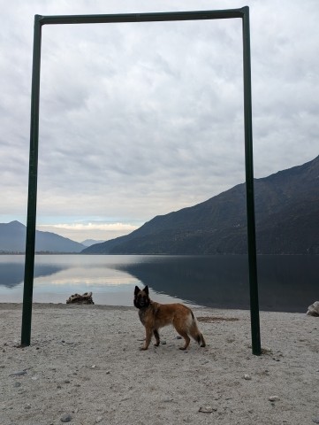 Lago di Mezzola