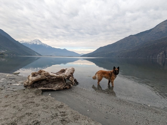 Lago di Mezzola