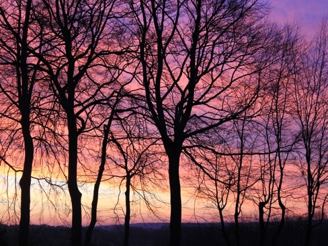 Aussicht