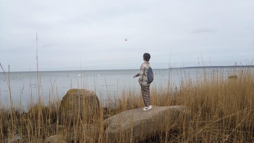 Entdeckungstour am Strand