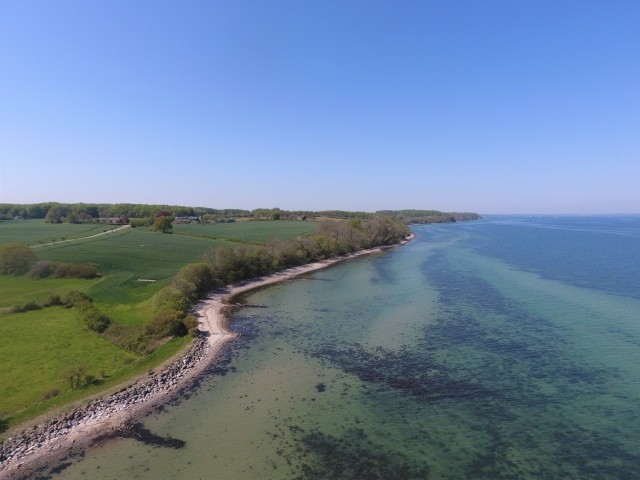 Küstenlinie bei Dollerupholz an der Flensburger Förde