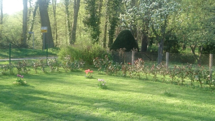 Garten 2021