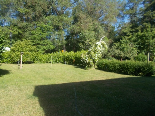Garten 2023