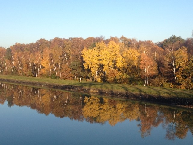 Herbst-Spaziergänge und Pilze suchen in der Umgebung