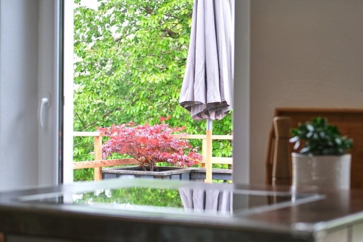 Blick von der Küche auf die Terrasse und in den grünen Garten