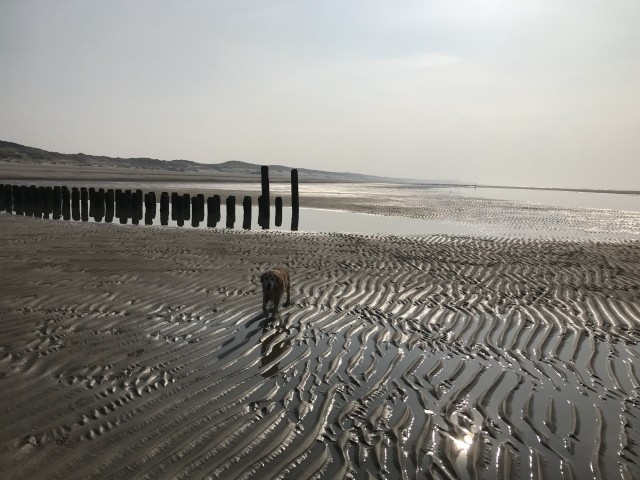 Banjaardstrand