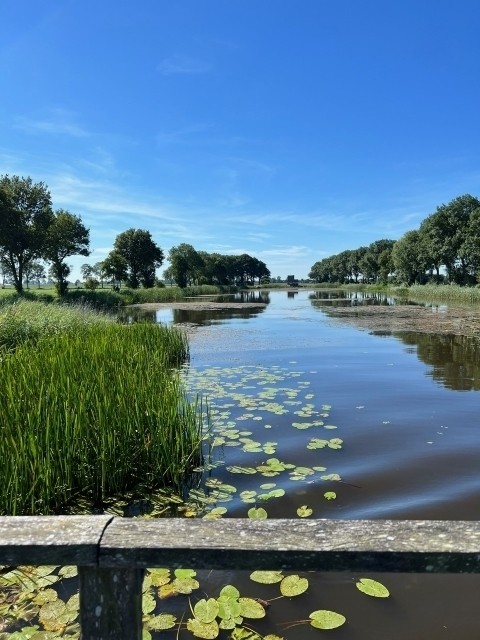Umgebung 