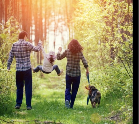 Tolle Wanderungen 