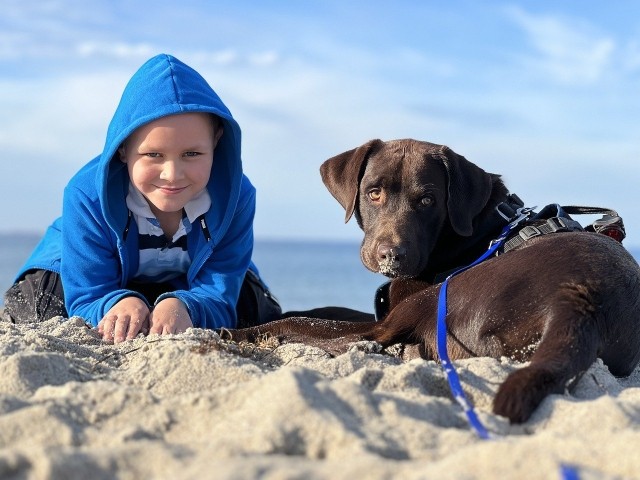 Idealer Sandstrand für Kinder und Hunde