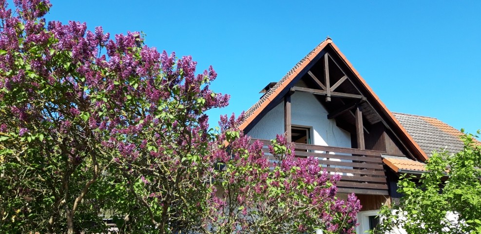 1. OG Balkon