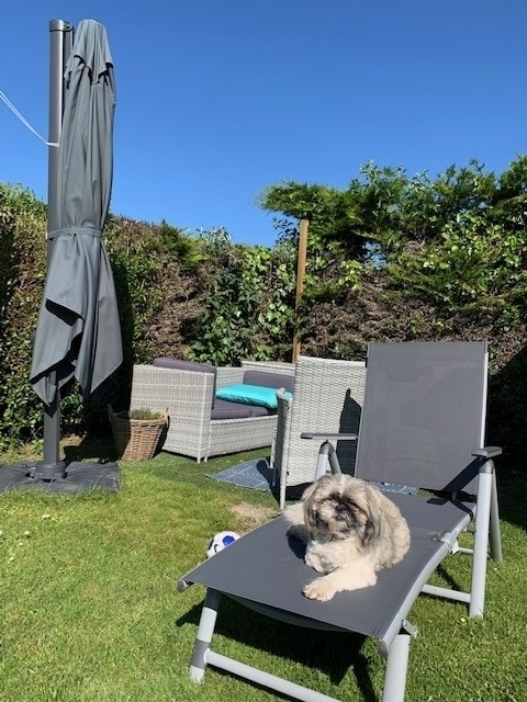 2 Sonnenliegen stehen bereit