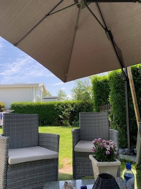 Blick aus der Lounge in den Garten