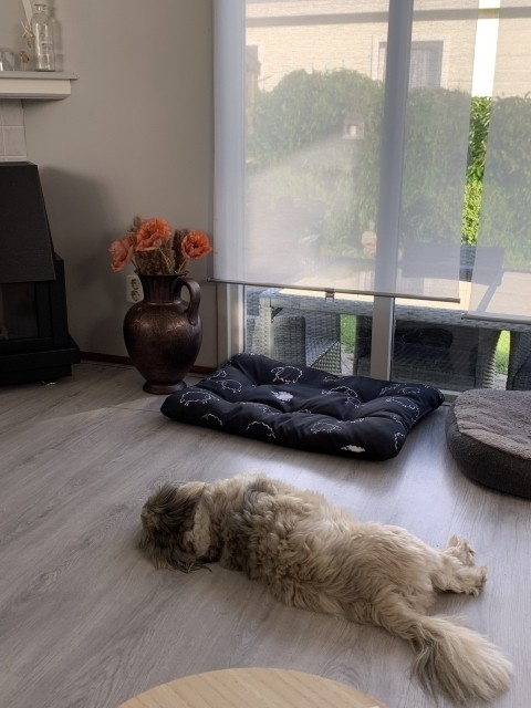 Chilltime