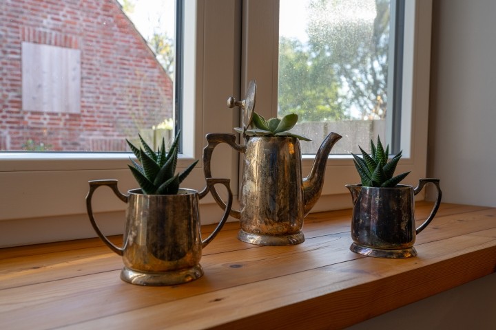 Im Wohnzimmer