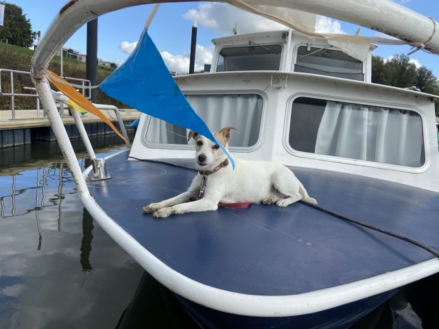 Bootstour mit Hund 