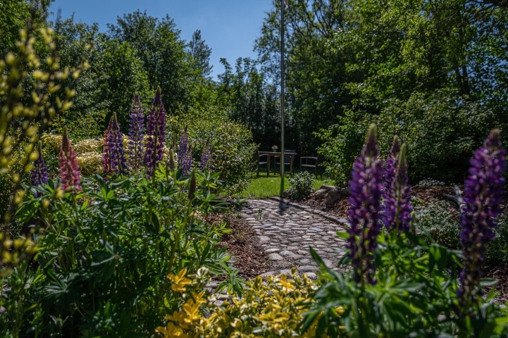 Im Garten