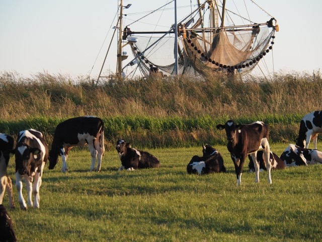 Am Kutterhafen