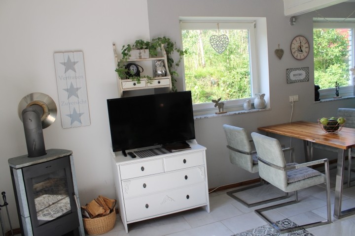 Kamin   TV