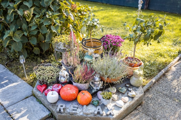 Garten mit Blumen
