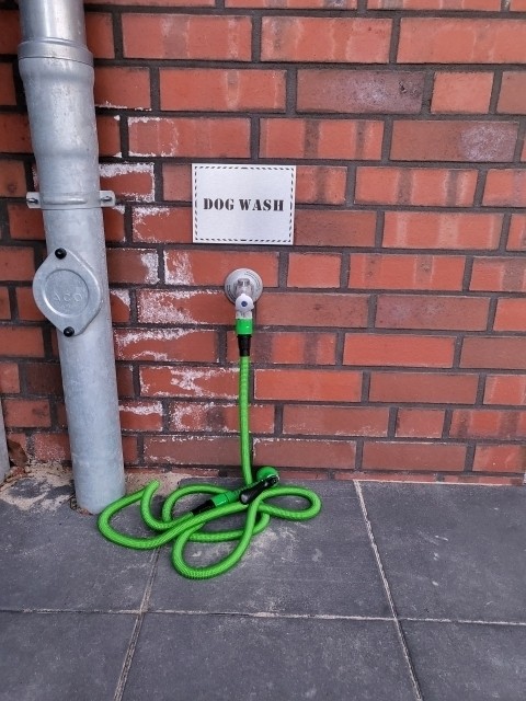 Dog Wash