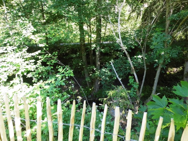 Eingezäunte Wiese mit Blick auf den Spiegelbach