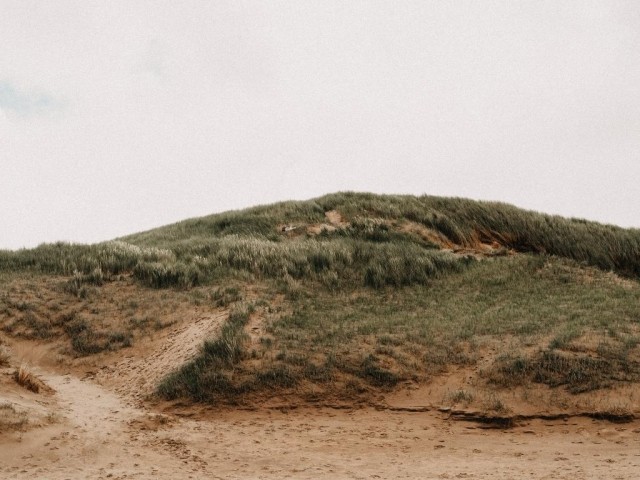wunderbare Dünenlandschaft