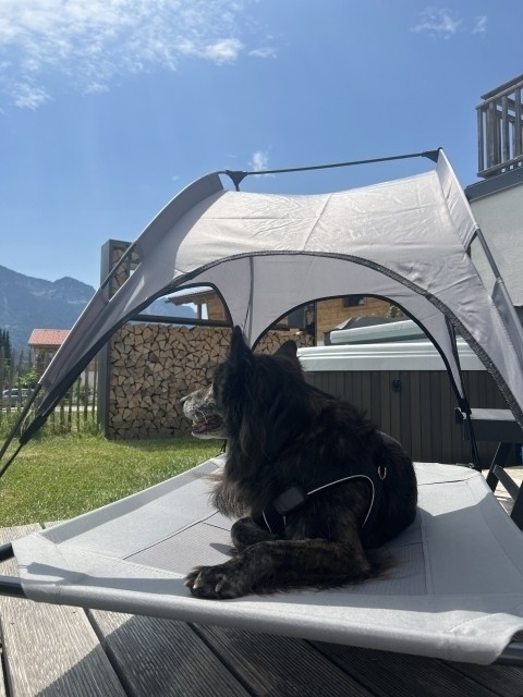 Timmy genießt den Garten