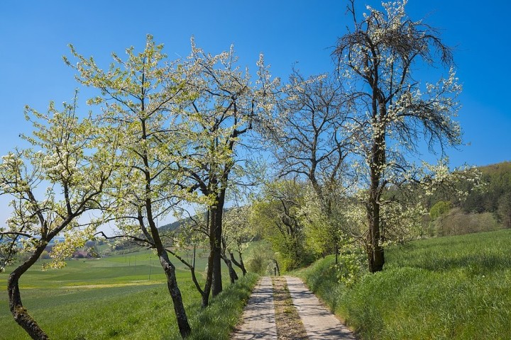 Ortsausgang - 200 Meter in die freie Natur