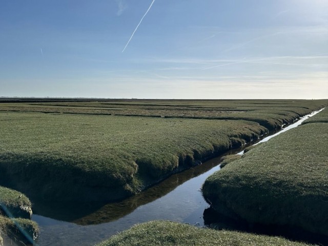 Natur und Ruhe satt