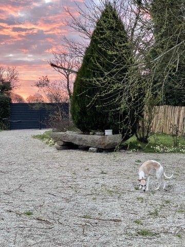 Vorderer Garten