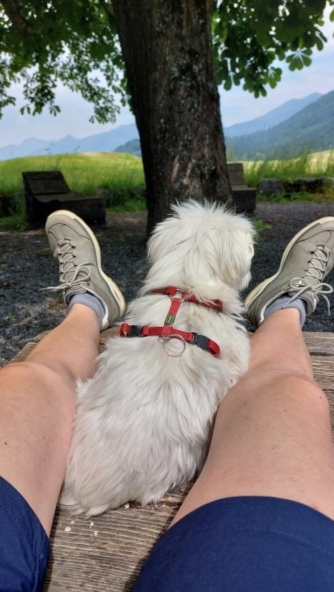 Tolle Wanderziele in der nahen Umgebung