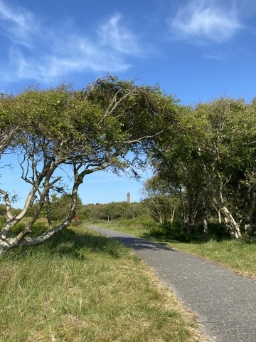 Radwandern auf der Insel
