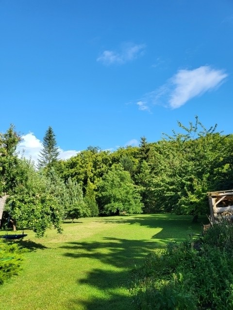 Der Garten im Sommer
