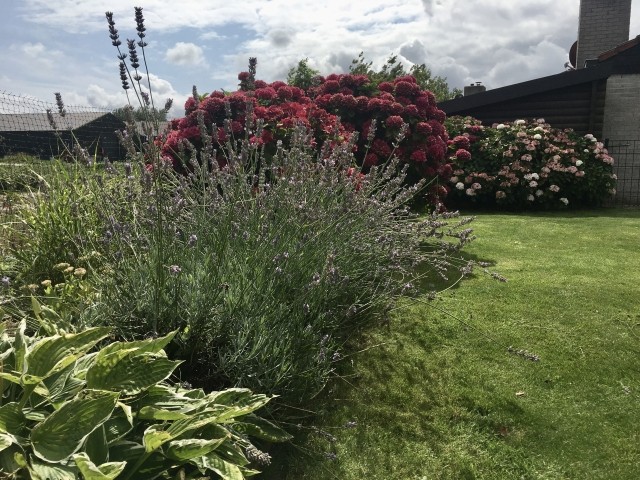 Gartenliebe