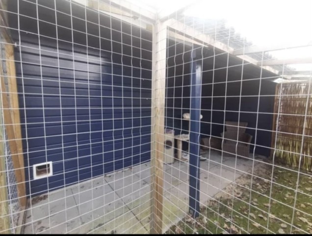 Katzenfreigehege